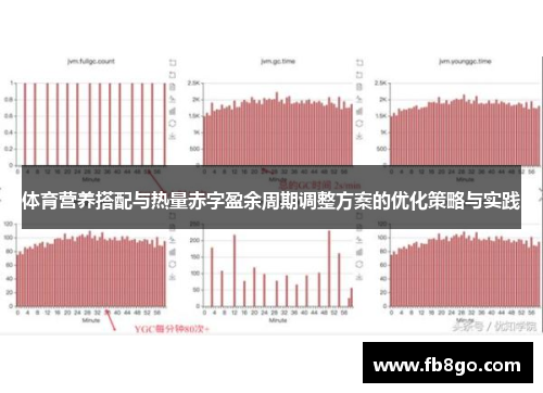 体育营养搭配与热量赤字盈余周期调整方案的优化策略与实践
