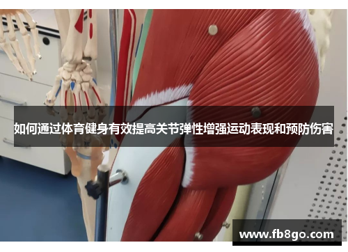 如何通过体育健身有效提高关节弹性增强运动表现和预防伤害